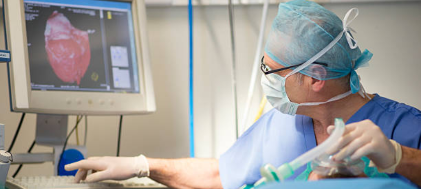 A surgeon concentrating on a computer while carrying out essential medical procedures.