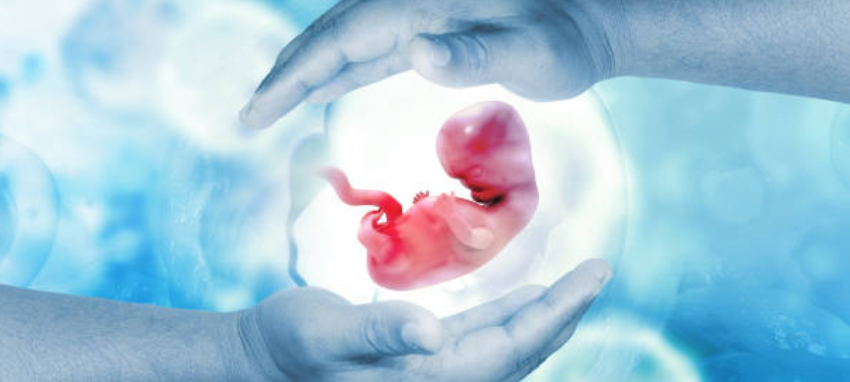 A nurturing hand holding an unborn baby with love and care in a mother's womb.