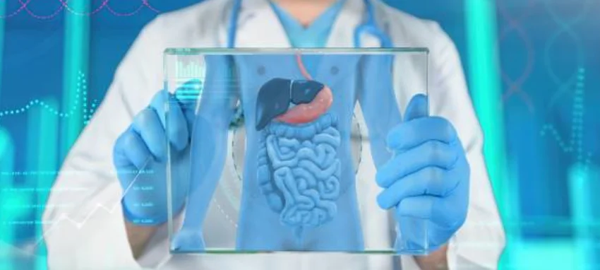 A doctor carefully holds a gatget containing a human organ, examining it with focus and precision.