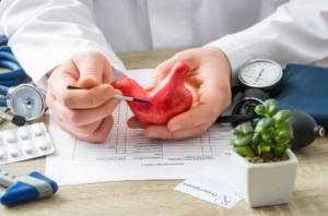 A physician resting a model of a stomach on a table to represent compassion and care in medicine.